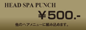 ヘッドスパパンチ500円